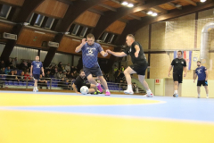 IMG_0467_1024x683