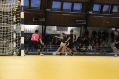 IMG_0488_1024x683