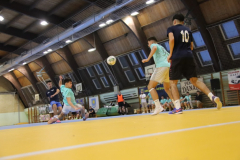 IMG_0784_1024x683