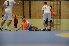 IMG_0811_1024x683