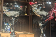 viber_slika_2025-12-27_12-52-34-589_432x768