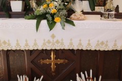 IMG_0586_1024x683
