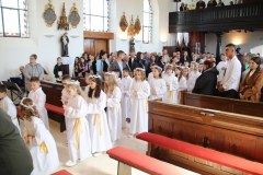 IMG_0611_1024x683