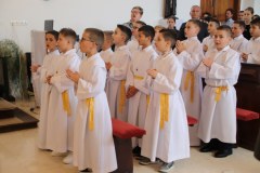 IMG_0617_1024x683