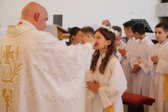 IMG_0809_1024x683
