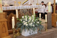 IMG_0817_1024x683