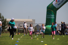 IMG_3339_1024x683