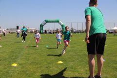 IMG_3341_1024x683