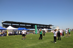 IMG_3459_1024x683