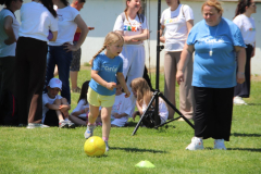 IMG_3523_1024x683