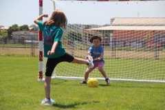 IMG_3533_1024x683