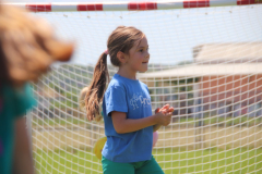 IMG_3541_1024x683