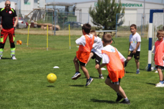 IMG_3542_1024x683