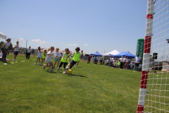 IMG_3546_1024x683