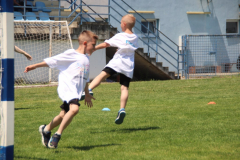IMG_3598_1024x683