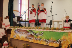 IMG_0445_1024x683