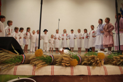IMG_0829_1024x683