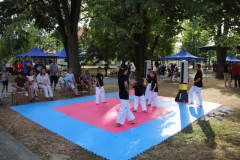 IMG_2937_1024x683