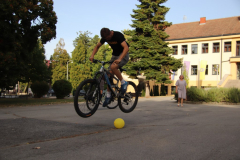 IMG_3064_1024x683