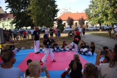 IMG_3070_1024x683