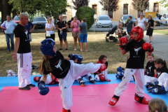 IMG_3071_1024x683