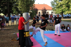 IMG_3097_1024x683