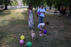 IMG_3120_1024x683
