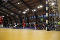 IMG_3231_1024x683