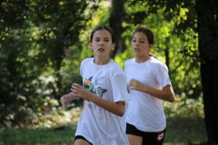 IMG_8823_1024x683