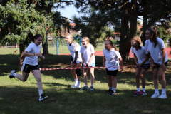 IMG_8889_1024x683