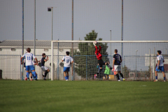 IMG_7385_1024x683