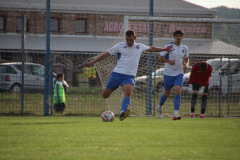 IMG_7522_1024x683