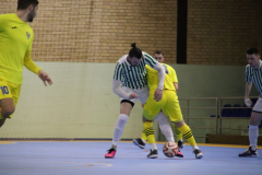 IMG_4659_1024x683