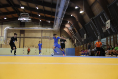 IMG_3815_1024x683