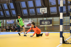 IMG_8979_1024x683