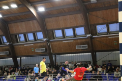 IMG_3117_1024x683