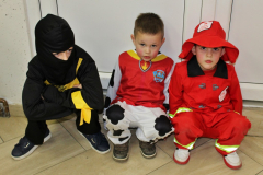 IMG_8654_1024x683