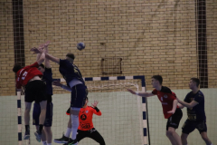 IMG_0455_1024x683