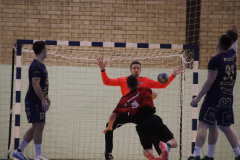 IMG_0648_1024x683