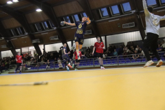 IMG_0661_1024x683