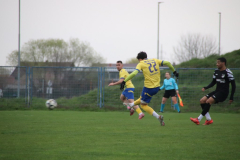 IMG_3847_1024x683