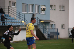 IMG_3906_1024x683