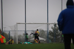 IMG_3931_1024x683