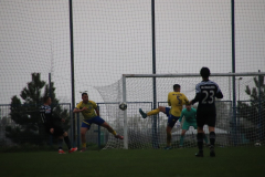 IMG_3952_1024x683