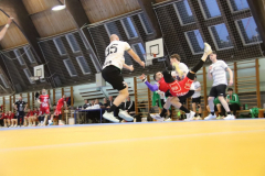 IMG_4131_1024x683