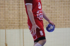 IMG_4154_1024x683