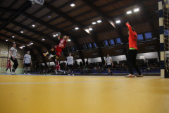 IMG_4463_1024x683