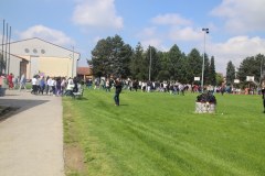 IMG_0981_1024x683