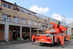 IMG_1121_1024x683