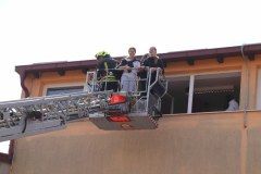 IMG_1139_1024x683